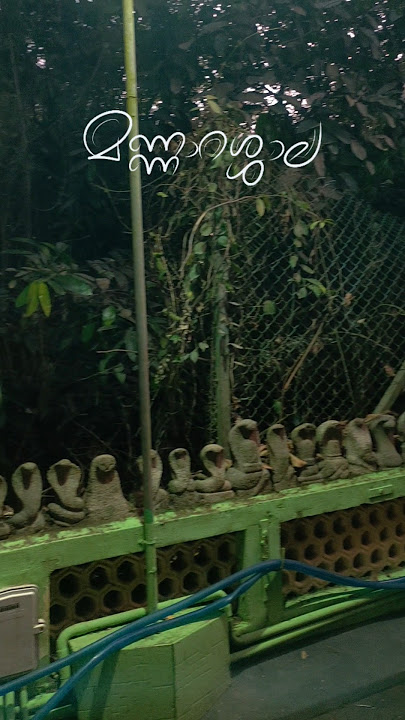 🐍മണ്ണാറശ്ശാല🐍ശ്രീ നാഗരാജ ക്ഷേത്രം |Mannarasala Temple | #mannarasala #hindutemple #trendingonshorts
