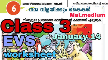Victers Class 3 EVS worksheet January 14 Malayalam medium