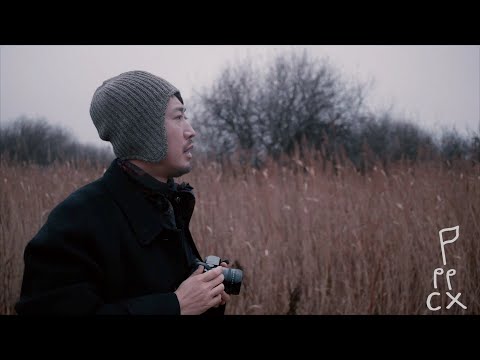 [MV] 피터팬컴플렉스(Peterpan Complex) -  NEWS+다모두그냥(Feat.프롬)(All Every Just)(Feat.Fromm) (Official Video)