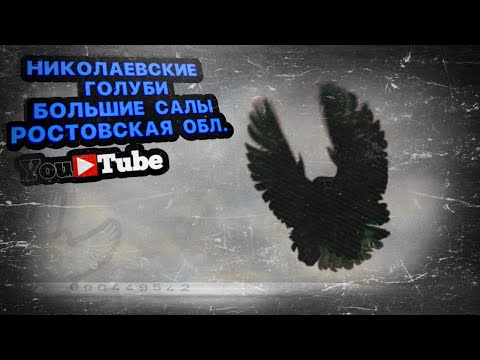 Николаевские голуби у Паши. Большие Салы Ростовская область. 2022 тел. +7 (928) 195-37-52