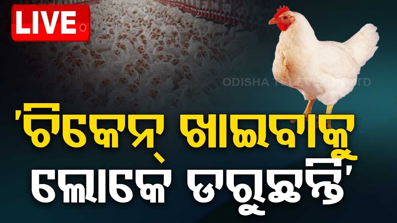 ????Live | ‘ଲୋକେ ଭୟରେ ଚିକେନ୍ ଖାଉନାହାନ୍ତି’ | Bird Flue | Chicken | Bhubaneswar