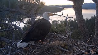 FOBBV🦅Morning With Jackie & Shadow🌅💕2024-05-13