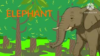 Learn The Abcs E Is For Elephant