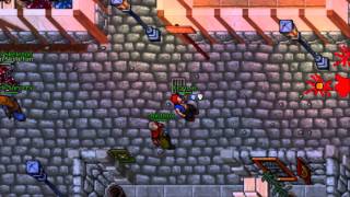 Tibia | Shivera - Killing Yellow Skulls