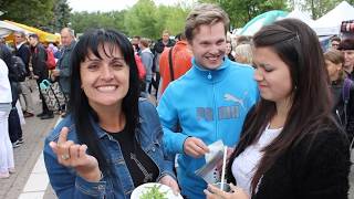 SKLÍPKAN NA TALÍŘI - Bosch Fresh Festival 2017 Pardubice