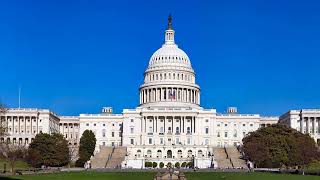 Thumbnail Nationwide opinion polling for the 2024 United States presidential election: The 2024 Election Pulse