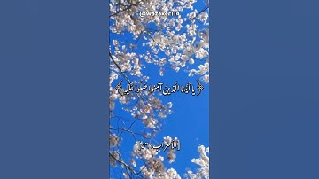 #الصلاة_على_النبي #المصحف #جمعة_مباركة #سورة_الاحزاب #قرآن #يوم_الجمعة
