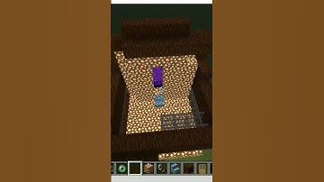 The Aether Portal Is real #minecraft #shorts