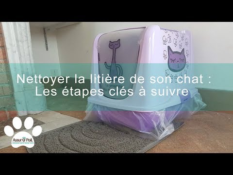 Vidéo: Faut-il porter un masque pour changer la litière pour chat ?
