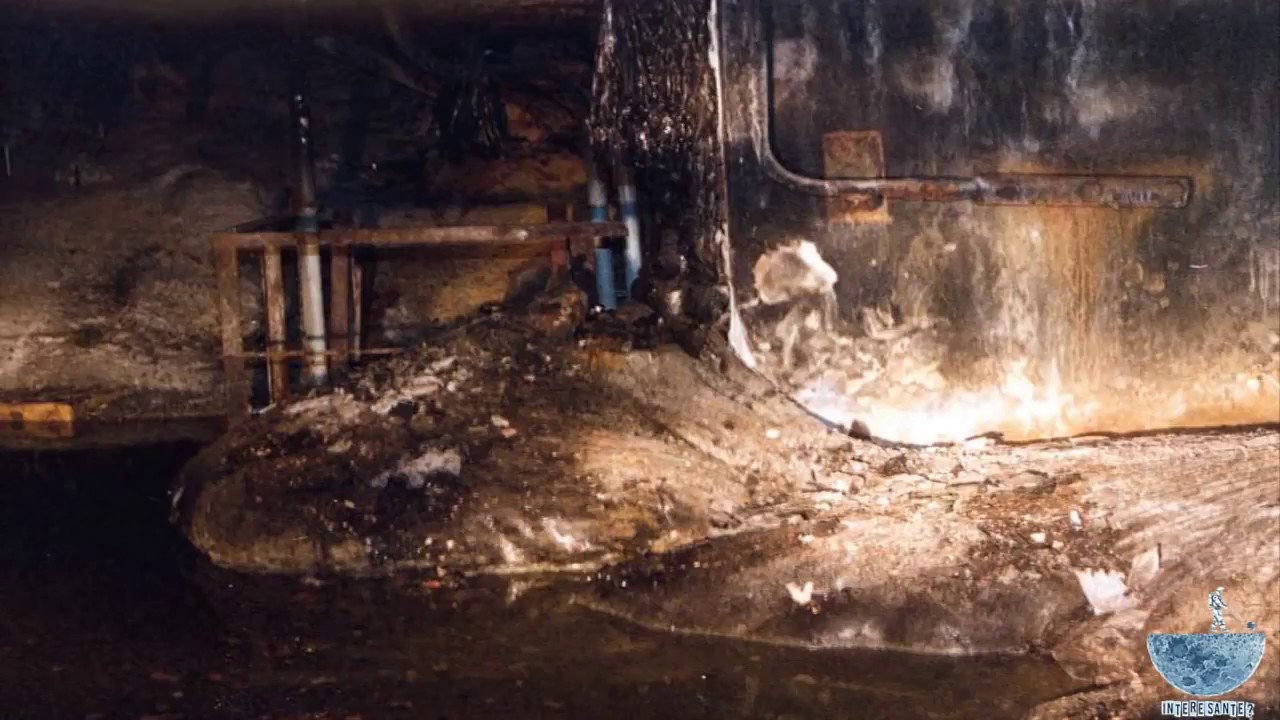 La pata de elefante de Chernobyl - YouTube