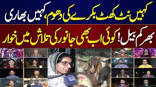 Chand Raat  2026 | Eid Animal Markets Full of Excitement | Naughty Goats Steal the Show | Samaa TV
