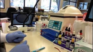 Download lagu Blood Bank - Crossmatch