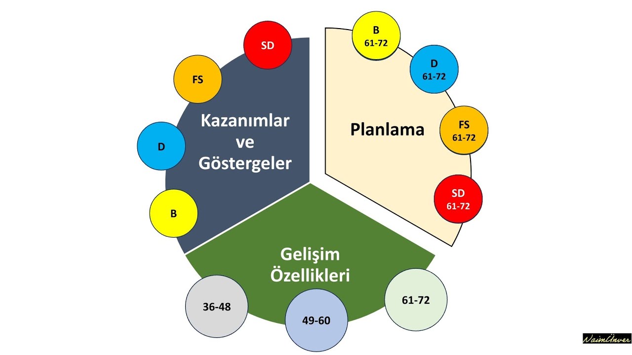 2024 Programı Analizi 9 (Kazanımlar ve Göstergeler)