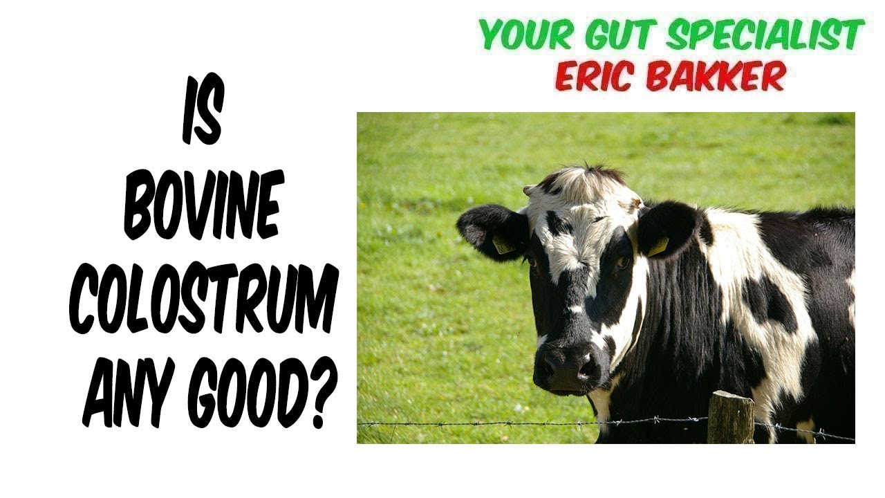 Is Bovine Colostrum Any Good YouTube Is Bovine Colostrum Any Good YouTube