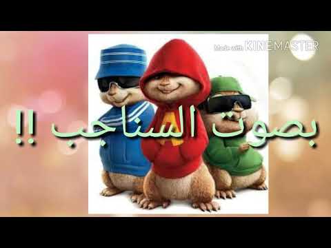 جلال الزين هلا هلا هلا بصوت السناجب ـ تخبل لا تفوتك