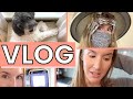 VLOG | Hurricane, Hair Cut, New Rug, Luke, Behind-the-Scenes & More!