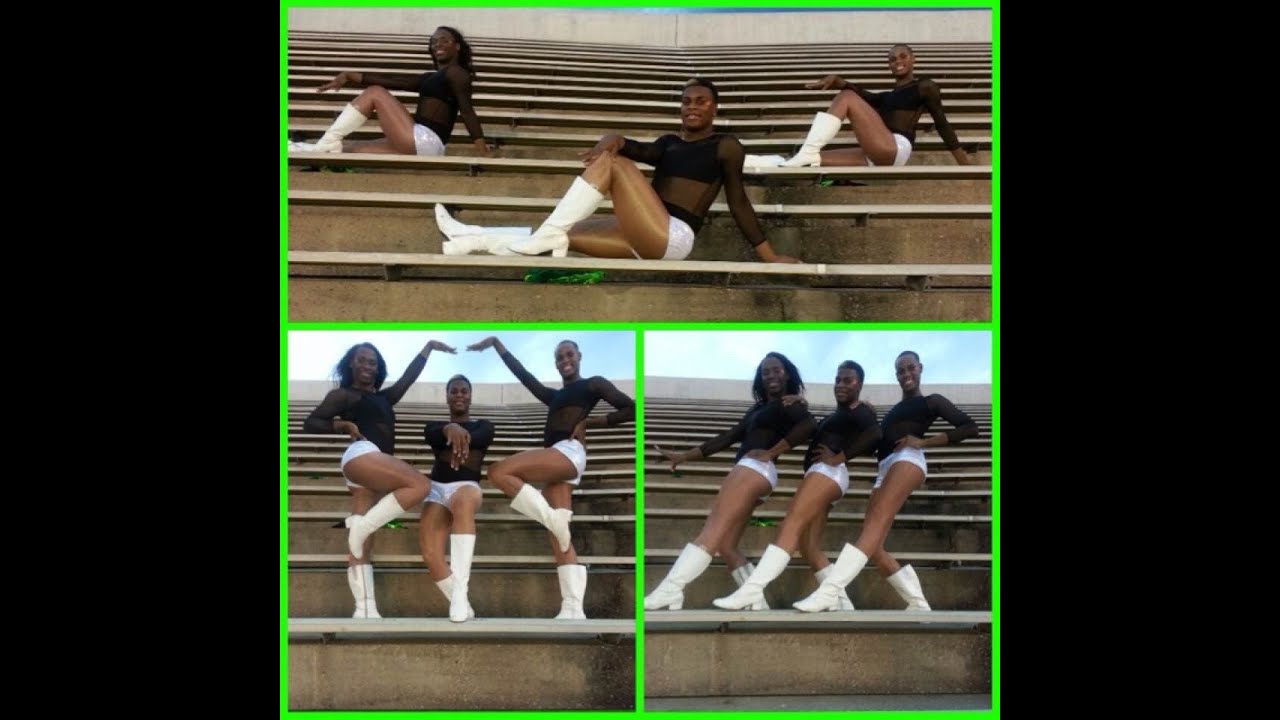 Jackson State vs Texas Southern 2013 (Prancing Elites of Mobile, AL.)