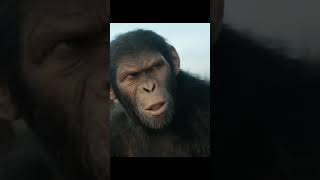 Apes bite styles #drip #style #swag #planetoftheapes #movies #newmovies2024 #may2024 #newmovies