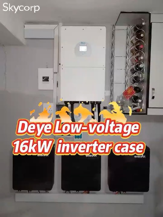Deye Low-voltage 16kW  inverter case