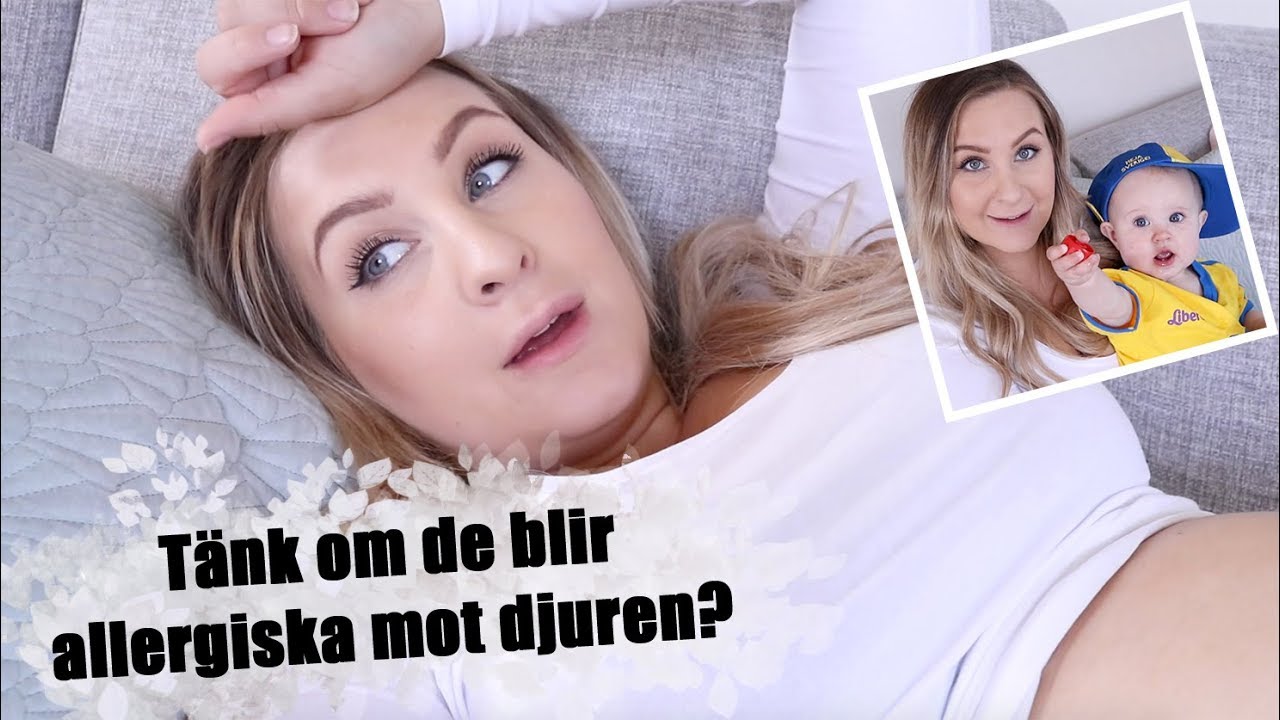Jag Kan Inte Amma Gravid V27 Andra Graviditeten YouTube jag-kan-inte-amma-gravid-v27-andra-graviditeten-youtube