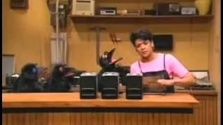 Sesame Street '123 Count With Me' BEST song ever Counting Crows (and more)