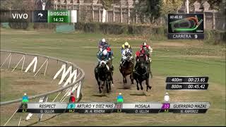 Vidéo de la course PMU PREMIO ZALAMEO