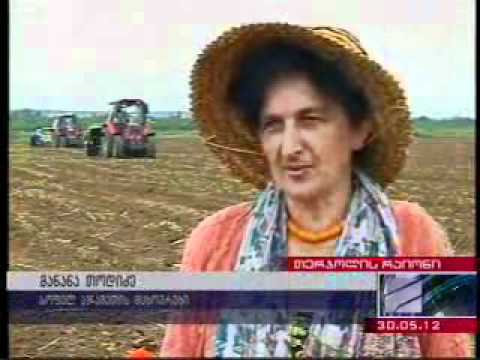 აჯამეთის სადემონსტრაციო ნაკვეთი