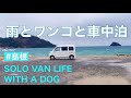 【雨とワンコと車中泊】雨続きでも相棒ワンコとのんびり旅を続けて、やっと鳥取の端っこまで来ました。