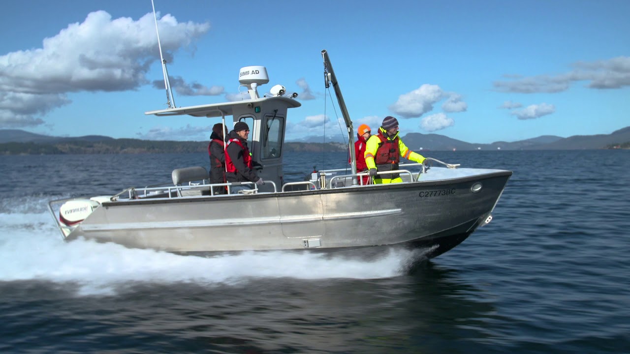 Ocean Monitoring - Zooplankton