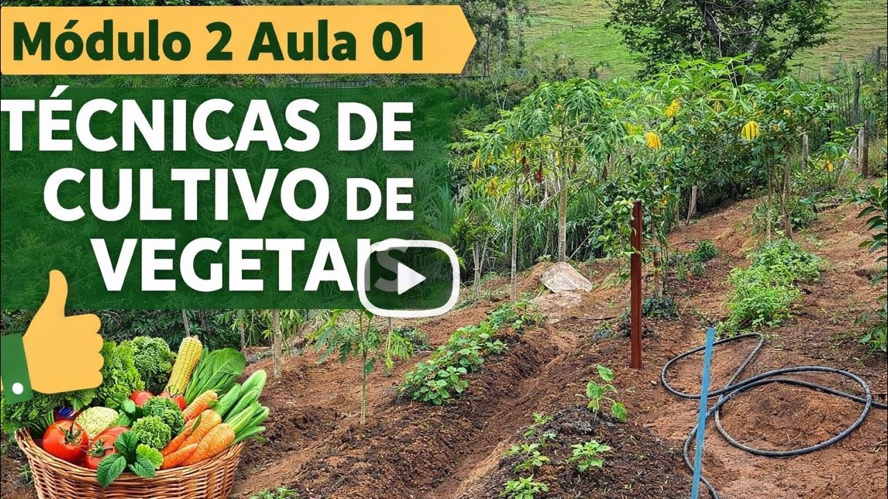 Técnicas de cultivo de vegetais