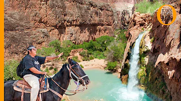 What state do most Native Americans live in?