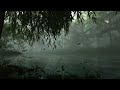 Long Rain Sounds (3 Hours) | Stress Relief &amp; Deep Focus