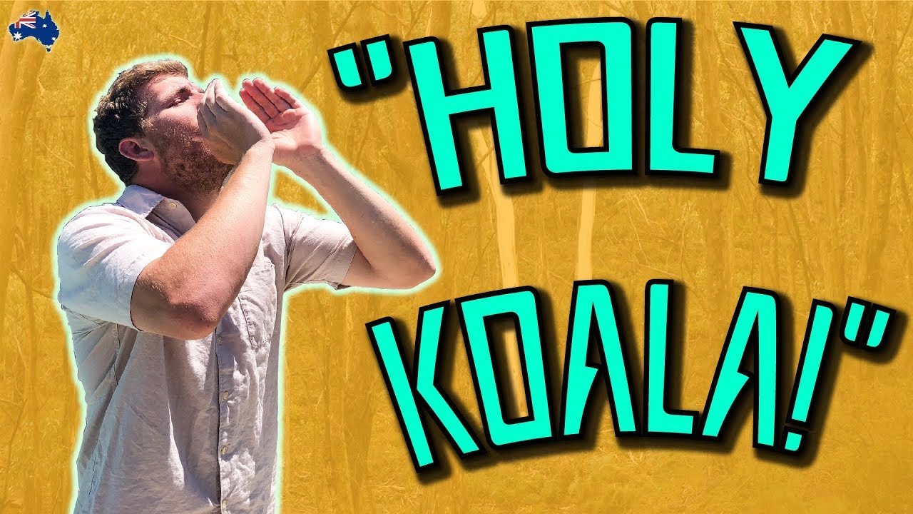 THE ADVENTURES OF KOALA KYLE 🐨