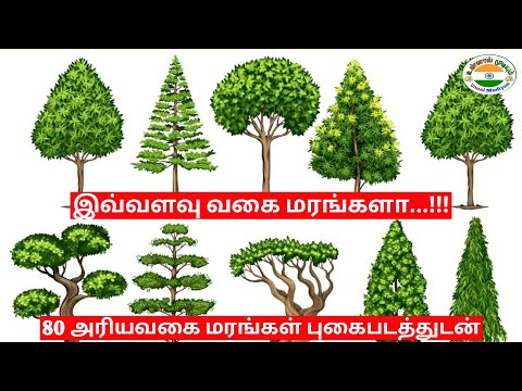 Types of trees|மரங்களின் வகைகள்|பாரம்பரிய மரங்கள்|80 வகை மரங்கள்|Unnal Mudiyum