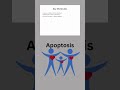 Apoptosis