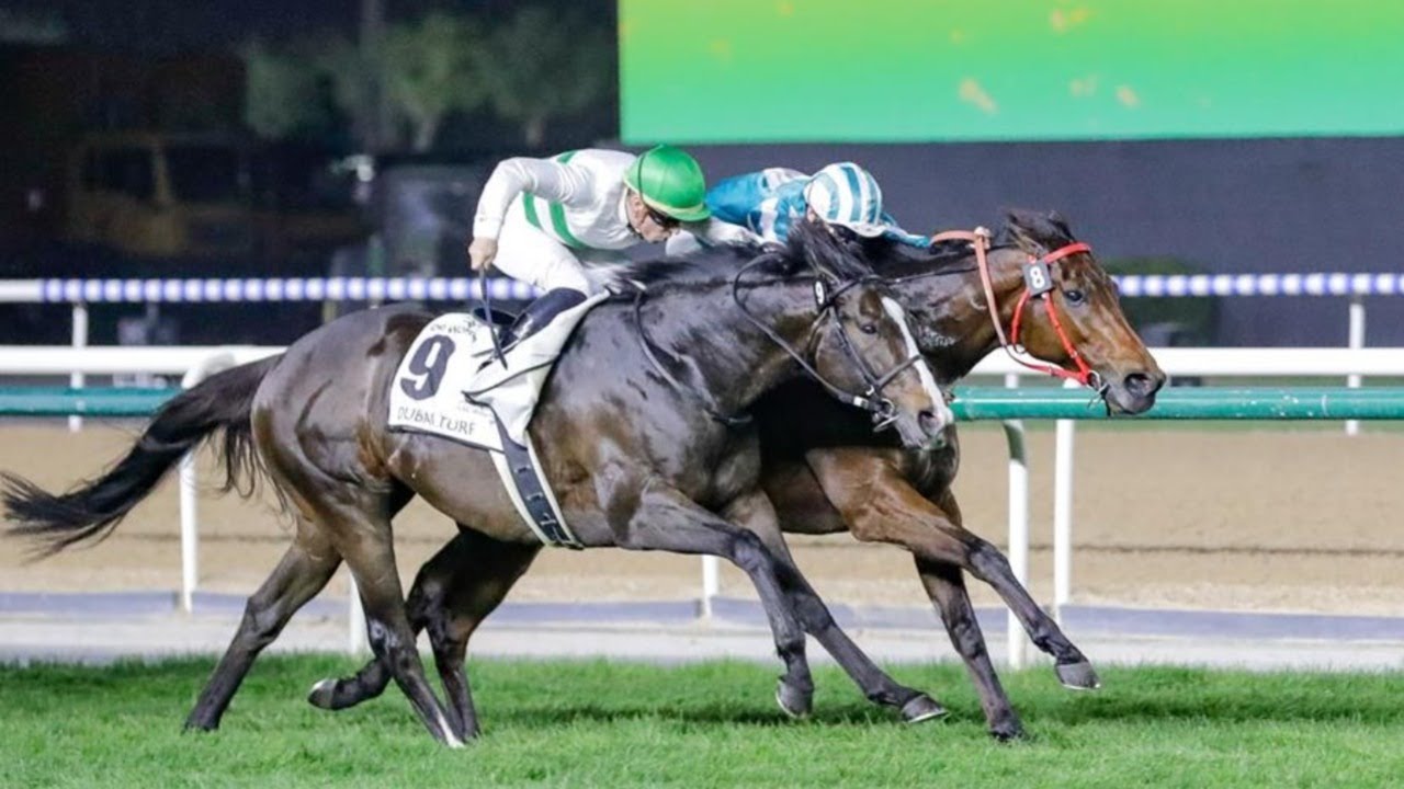 ソウルラッシュ(Soul Rush。2018.3.28)-第29回ドバイターフ(UAE・GI)の