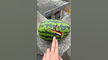 Experiment: Will a watermelon explode if it rolls down a tall building? 🍉💥#shorts