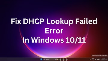How to Fix DHCP Lookup Failed Error In Windows 10/11