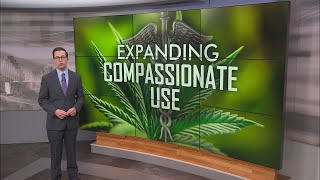 State Of Texas New Push To Expand Access To Medical Marijuana