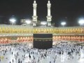 إيدك بدين إلمصطفى إلعدناني يلسجلتني بحملة إلركباني ابو معتز إيدك بدين إلمصطفى إلعدناني يلسجلتني بحملة إلركباني ابو معتز