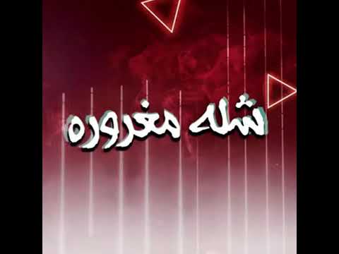 شلة مغرورة  