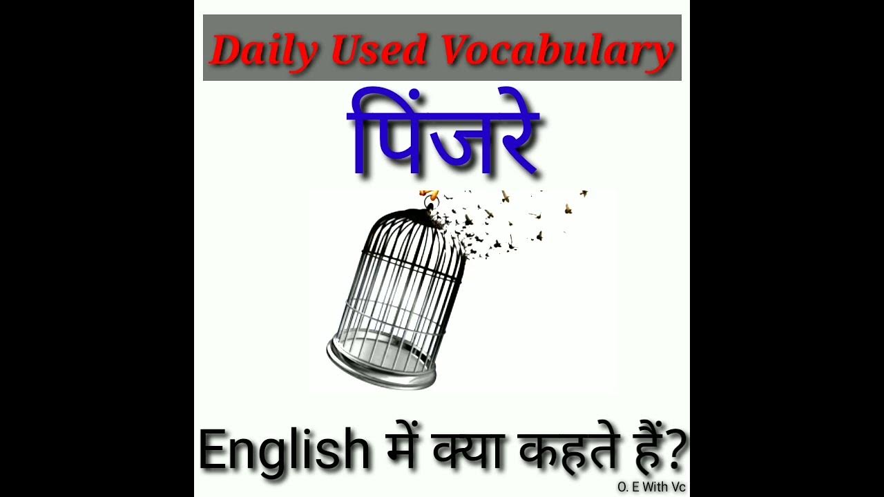 cage-meaning-in-hindi-vocabulary