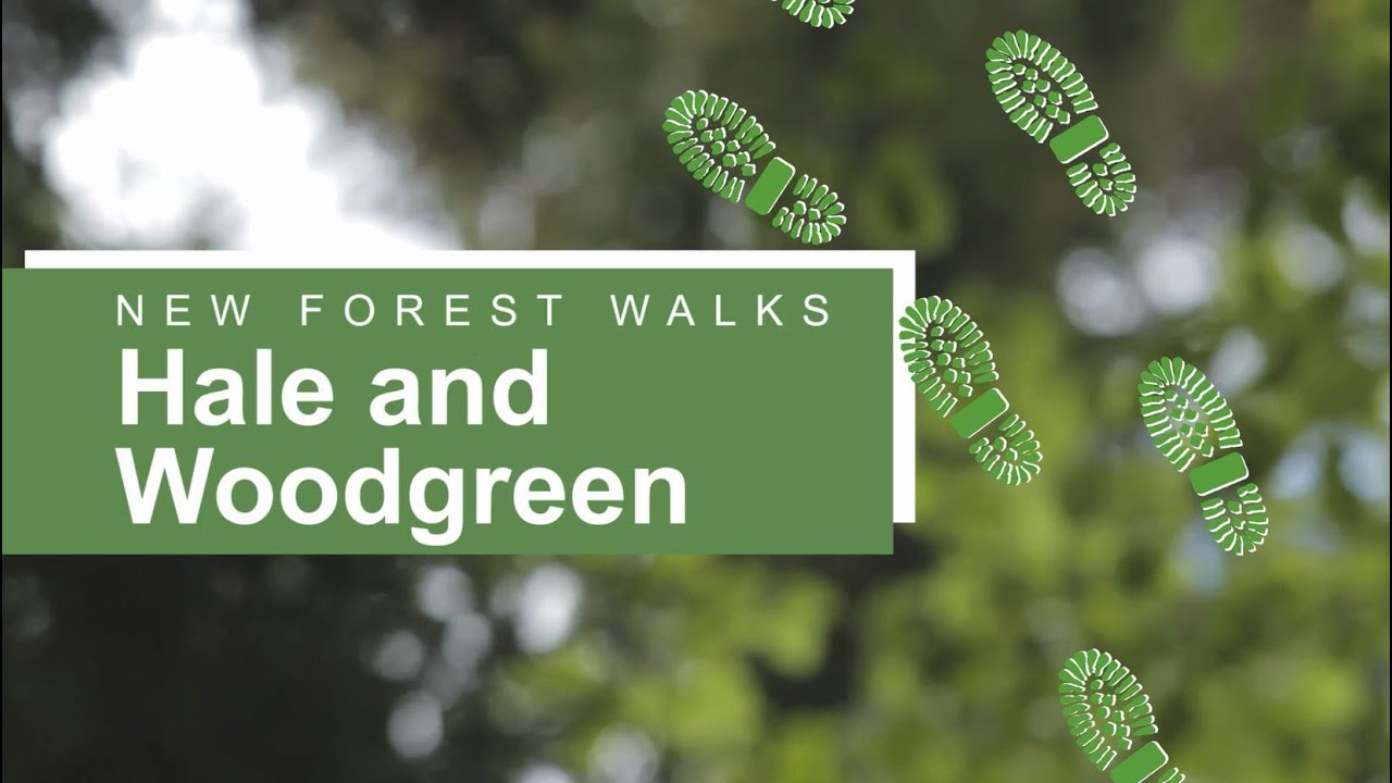 New Forest walks: Hale and Woodgreen news