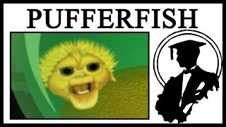 What Is The Yellow Singing Pufferfish?