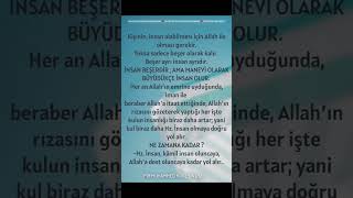 Büyüdükçe İnsan Olmak?..