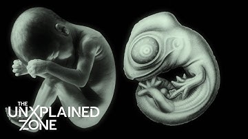 Ancient Aliens: Ancient Alien DNA | The UnXplained Zone