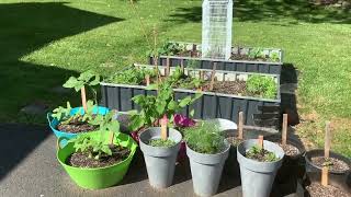 Vegetable and Flower Garden Tour / Raised Beds, Grow Bags & Containers / May 28, 2024 / New Jersey