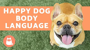 How do you tell if your dog trusts you?