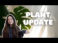 Walk Through My Collection With Me! | Full Plant Update Feb 2024 🪴