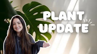 Walk Through My Collection With Me! | Full Plant Update Feb 2024